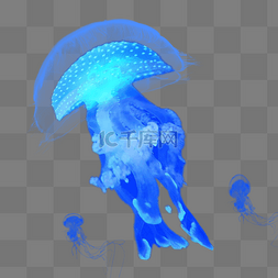 蓝色水鱼图片_蓝色透明水纹章鱼水母元素