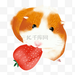 吃草莓图片_卡通吃草莓的可爱小松鼠免抠图
