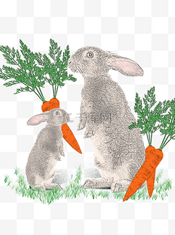 中秋节素描兔子
