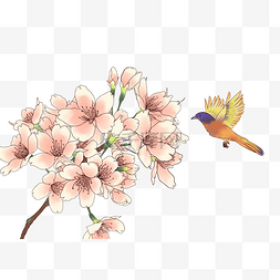 工笔画鲜花花卉插画