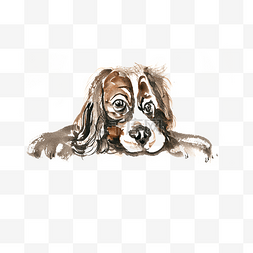 趴着的动物手绘图片_趴着的小狗水彩画PNG免抠素材