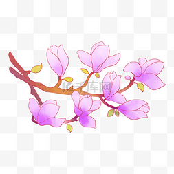  粉紫色的花枝 
