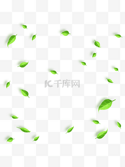 漂浮素材叶子图片_植物树叶叶子漂浮气氛