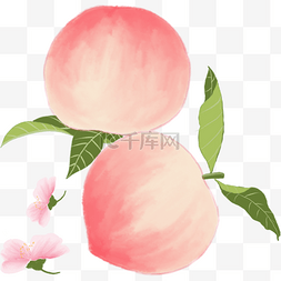 清新背景图片_两个鲜红的大桃子