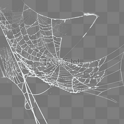 露水蜘蛛网效果设计