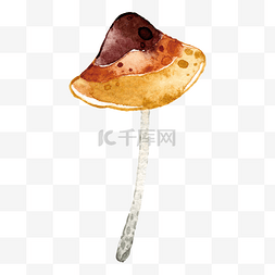 手绘蔬菜蘑菇插画图片_秋天雨后水彩蘑菇