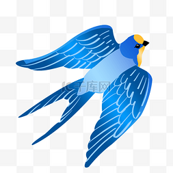 展开翅膀的鸟图片_蓝色飞翔的燕子插画