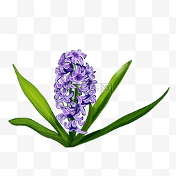 卡通紫色花朵图片_卡通紫色的花簇免抠图