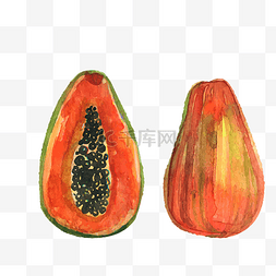 木瓜籽图片_矢量手绘切开的木瓜素材