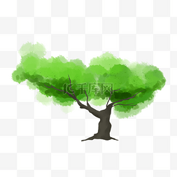 一棵古树图片_水彩绿色古树