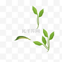 真实的绿色小草图片_矢量艺术装饰花草植物