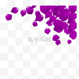 漂浮紫色玫瑰花瓣装饰