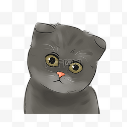 胖猫咪图片_手绘卡通灰色猫咪