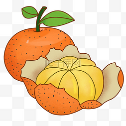 成熟果实柑橘
