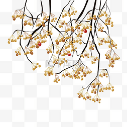 树枝果实植物素材图片_手绘矢量红色果实果树