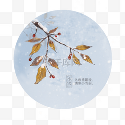 黄叶植物图片_冬季冬天二十四节气小雪