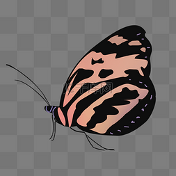漂亮的手绘的花蝴蝶PSD免抠图