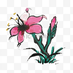 水墨彩色植物图片_水墨花朵植物