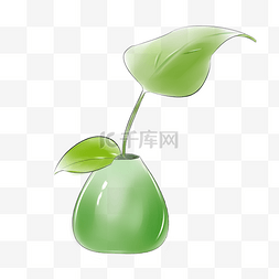 绿色叶子空气图片_手绘绿萝盆栽插画