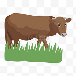 绿色草地上图片_站在草地上的黄色春牛