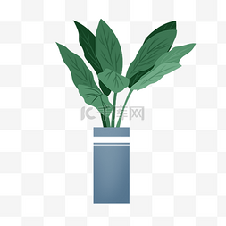 小植物小盆栽图片_手绘卡通小清新大叶子植物绿色盆