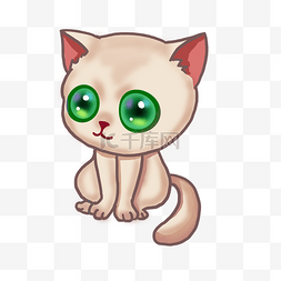 绿眼宠物小猫