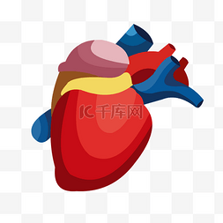 手绘人体器官心脏矢量免抠素材