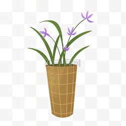 紫色花盆栽png图片_小清新可爱兰花盆景