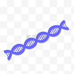 DNA双螺旋图片_蓝绿色可爱DNA矢量双螺旋图形