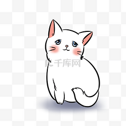 白色猫咪图片_可爱白色猫咪