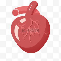 红色心脏器官图片_手绘卡通心脏插画