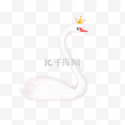 手绘可爱卡通皇冠图片_卡通动物白天鹅免费下载