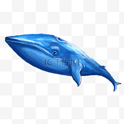 手绘蓝色鲸鱼卡通
