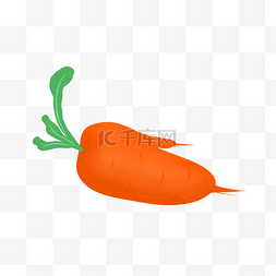 橘红色树叶图片_营养健康的大胡萝卜