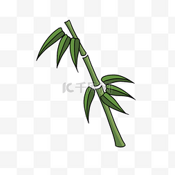 绿色手绘竹子元素