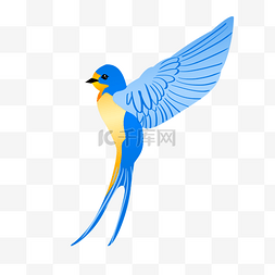 蓝色煽动翅膀的燕子