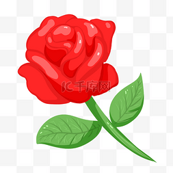 红色手绘玫瑰花图片_红色的玫瑰花插画