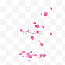 粉色卡通情人节图片_情人节散落的花瓣PNG