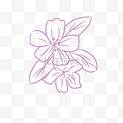 樱花铺路素材图片_矢量手绘紫色花朵插画
