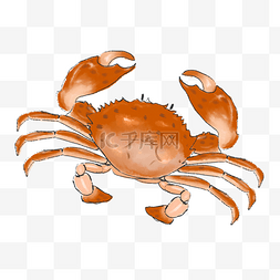 卡通大螃蟹海鲜图片_手绘海鲜螃蟹插画
