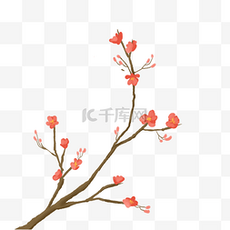 红色海棠花花枝插画