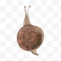 卡通手绘水彩褐色小蜗牛免抠png