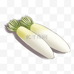 白萝卜卡通插画蔬菜
