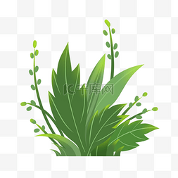 植物1图片_绿色小清新草丛1