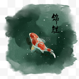 手绘水彩锦鲤插画