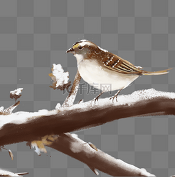小雪图案图片_小雪主题树枝积雪与小鸟