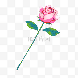 一枝花卉图片_手绘一枝玫瑰花