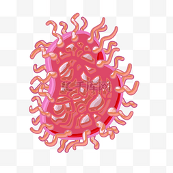 粉红色细菌 
