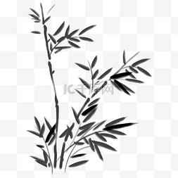 黑色竹子植物