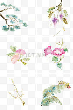 中国古风手绘水彩植物插画